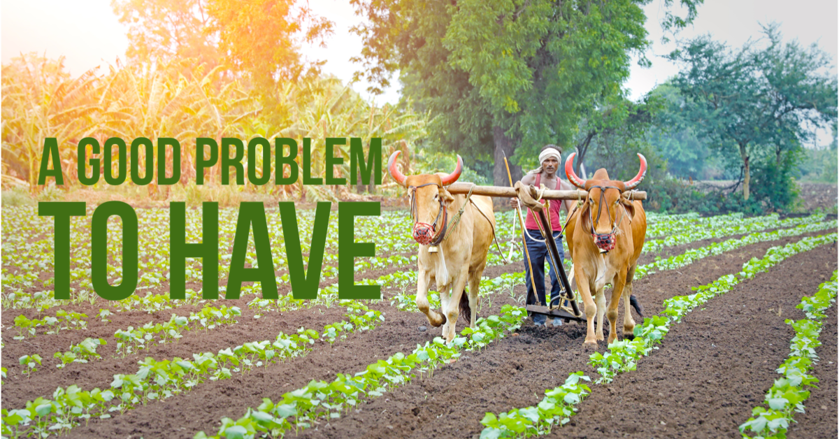 A Good Problem to Have | Always Reforming